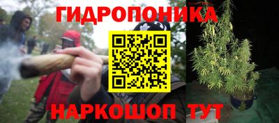 стаф Краснодар
