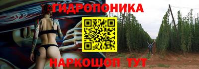 стаф Краснодар