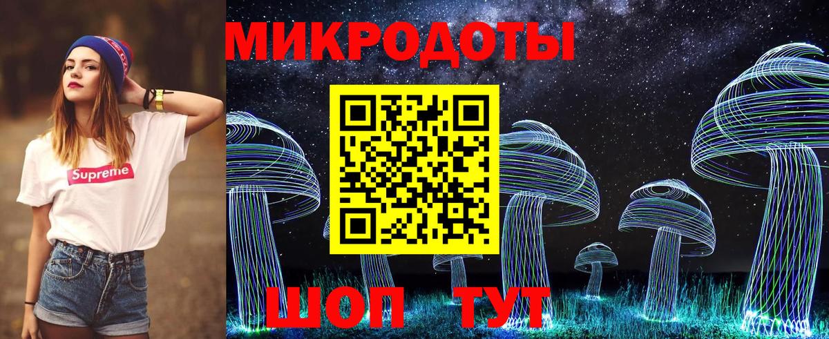 Галлюциногенные грибы Psilocybe Каменск-Уральский